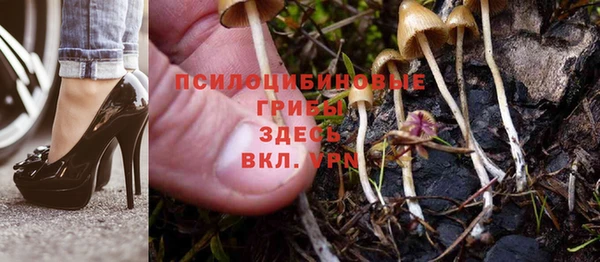 PSILOCYBIN Алексин