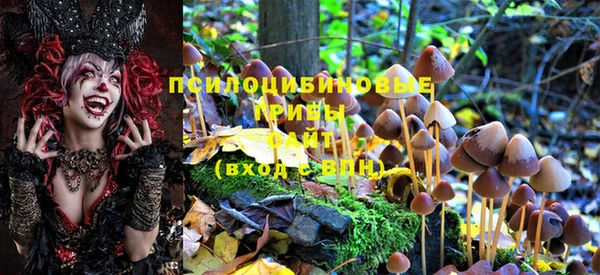 МДМА Протвино